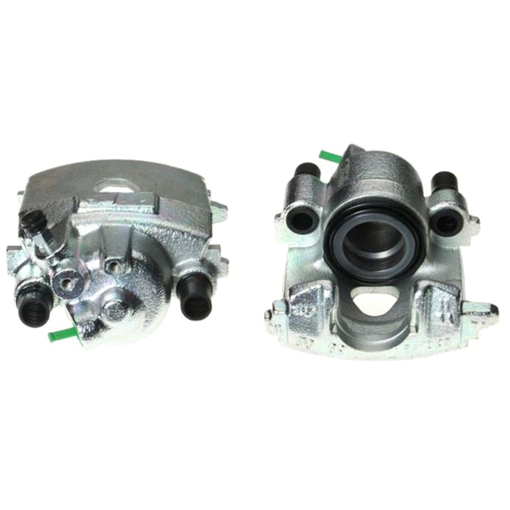 Jarrusatula 23-00175