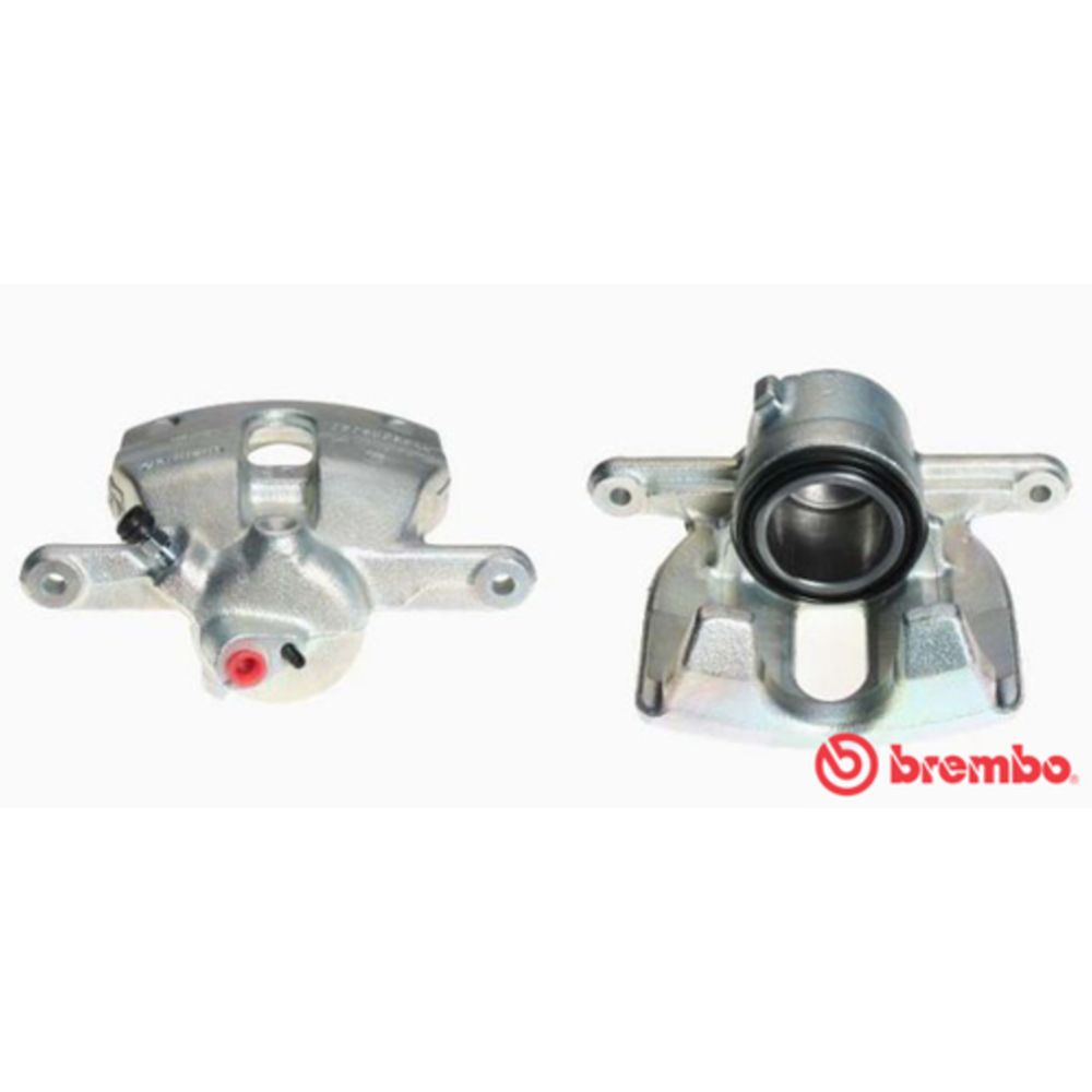 Jarrusatula 23-01883