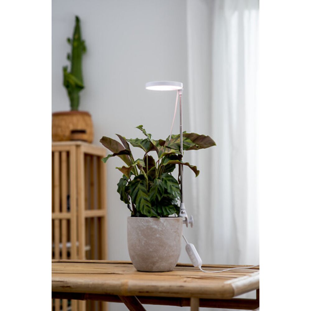 Airam Rose LED växtlampa 10 W 290 lm USB vit