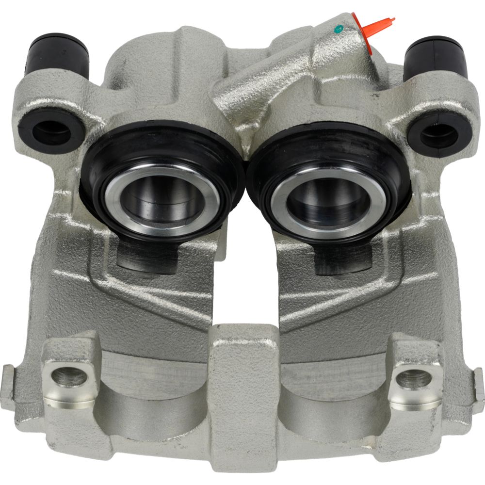 Jarrusatula 23-02655