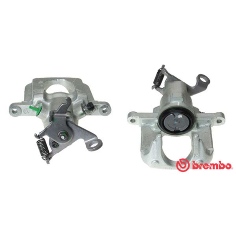 Jarrusatula 23-01539