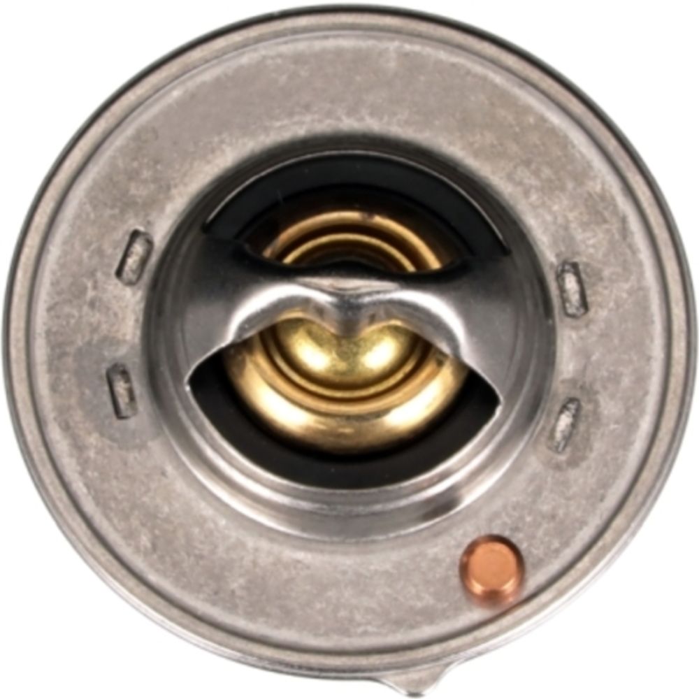 Termostat 30-06608