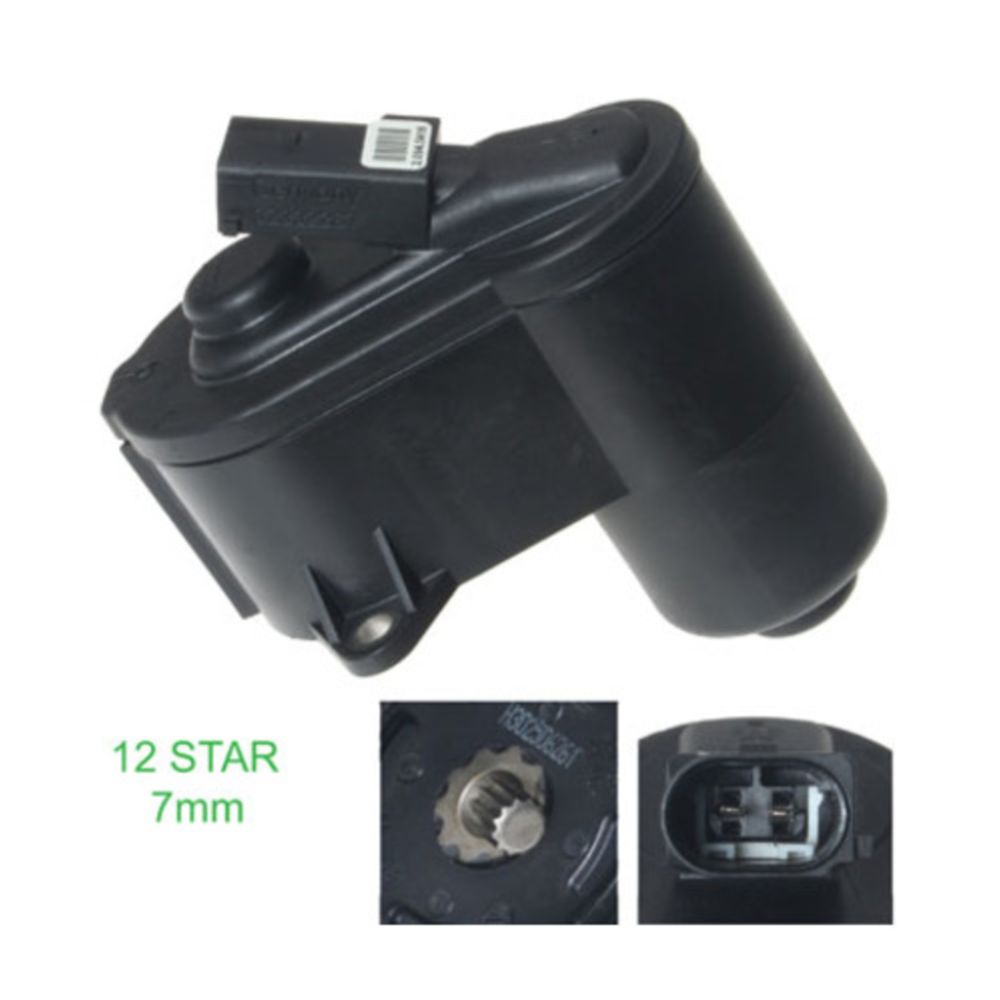 Jarrusatula 23-00226