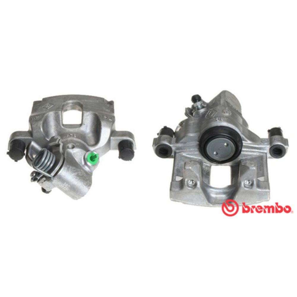 Jarrusatula 23-00880