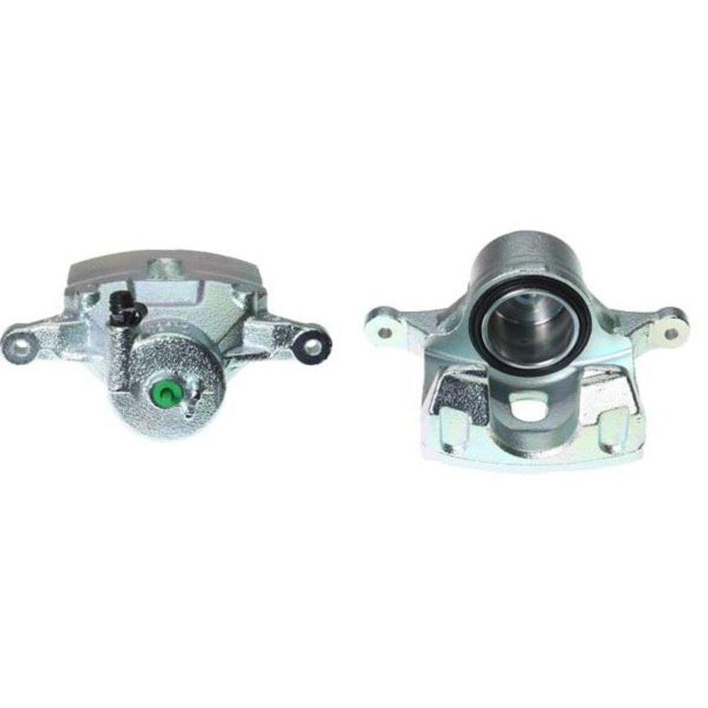 Jarrusatula 23-00239