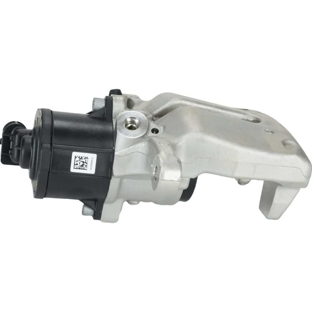 Jarrusatula 23-9850