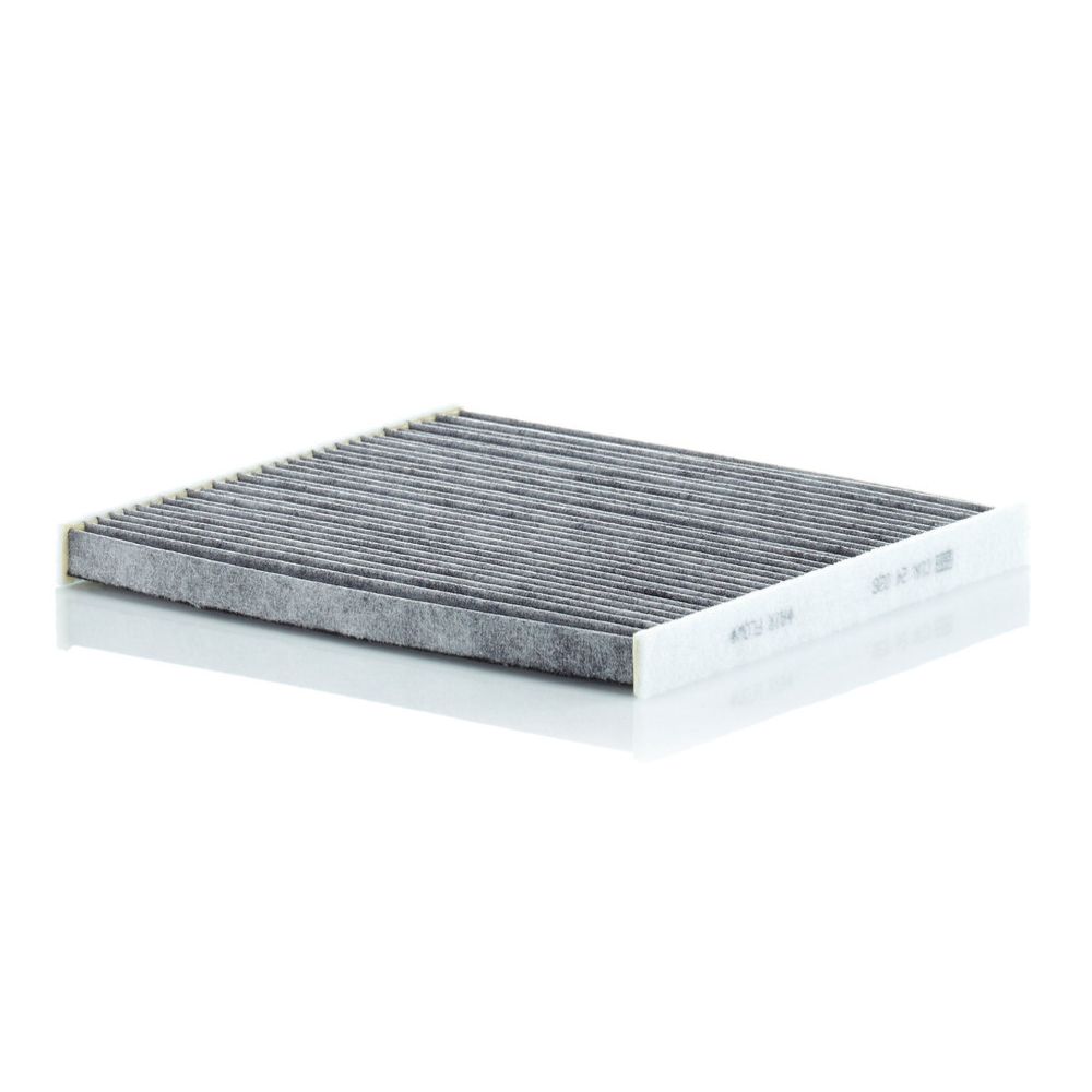 Salongiõhufilter 19-00239