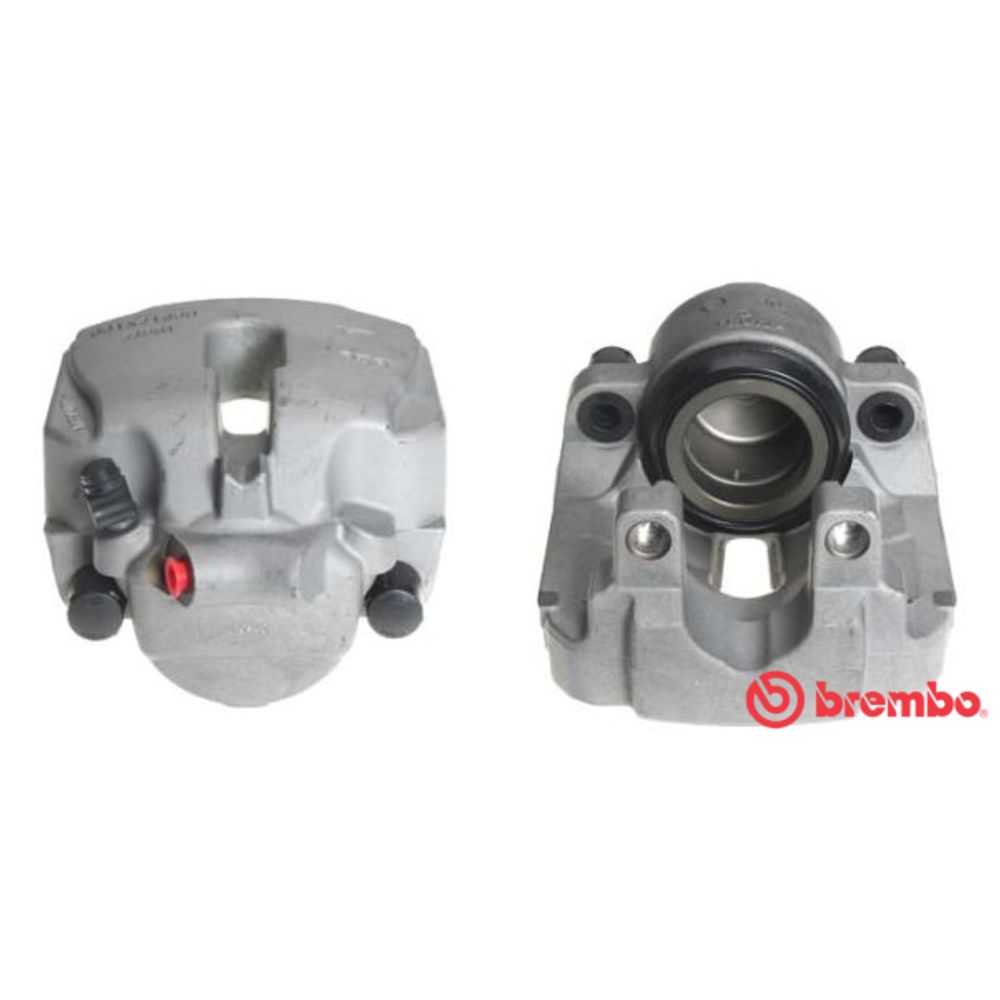 Jarrusatula 23-00445