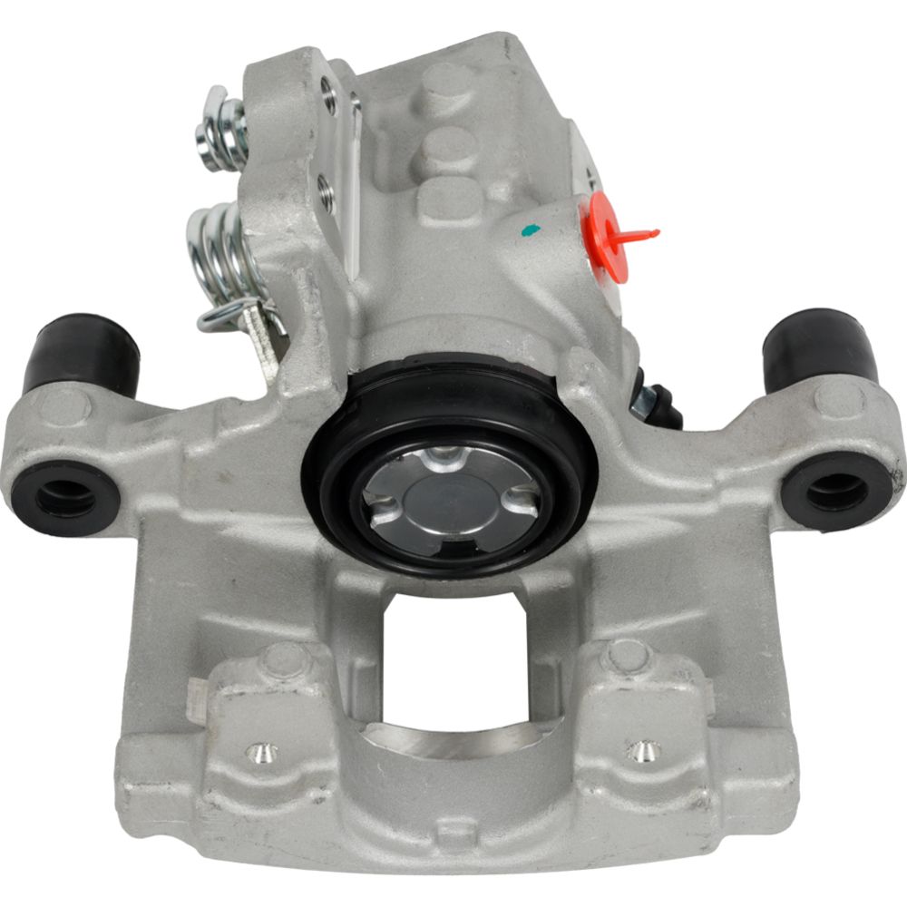 Jarrusatula 23-02737