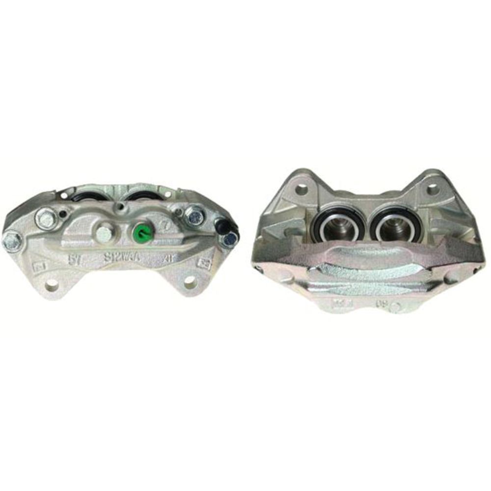 Jarrusatula 23-00079