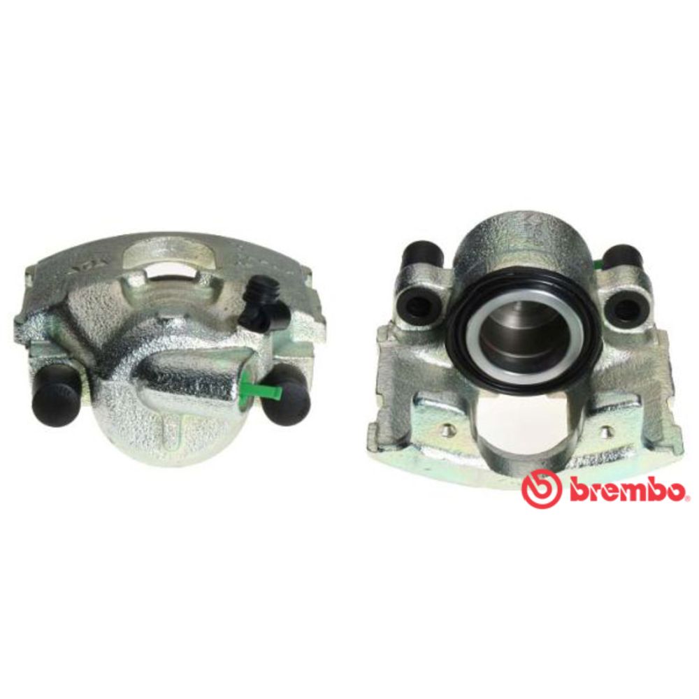Jarrusatula 23-00020