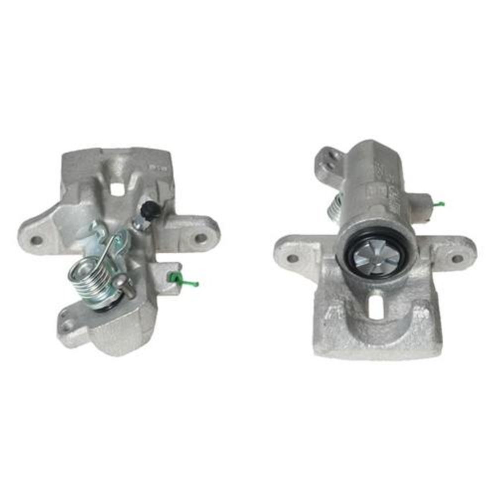 Jarrusatula 23-02894