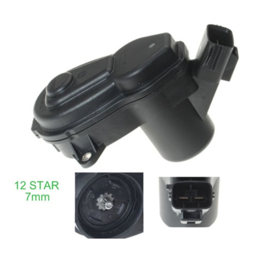 Jarrusatula 23-00937