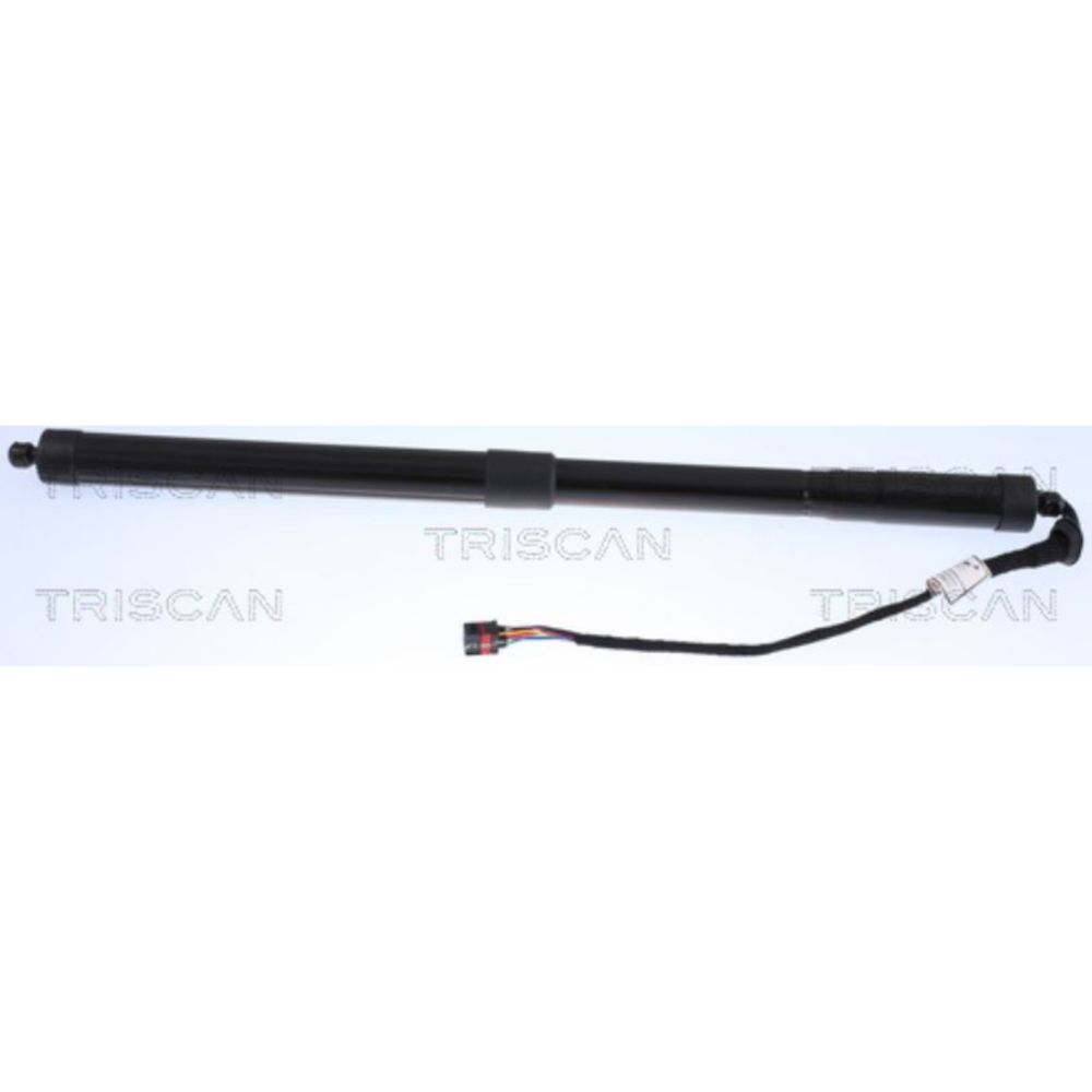 Tavaratilan kaasujousi 12-8620