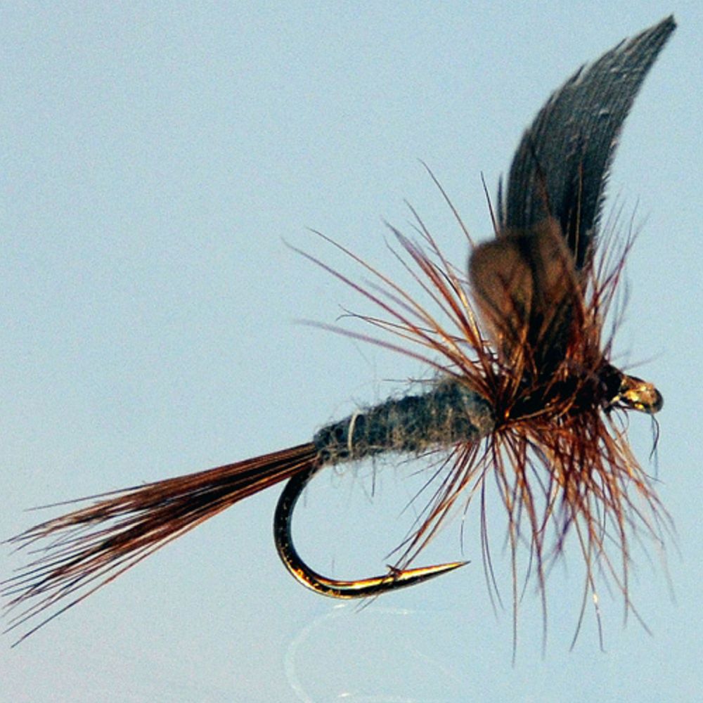 MTX Fishing Dries I pintaperholajitelma koko 8 kpl