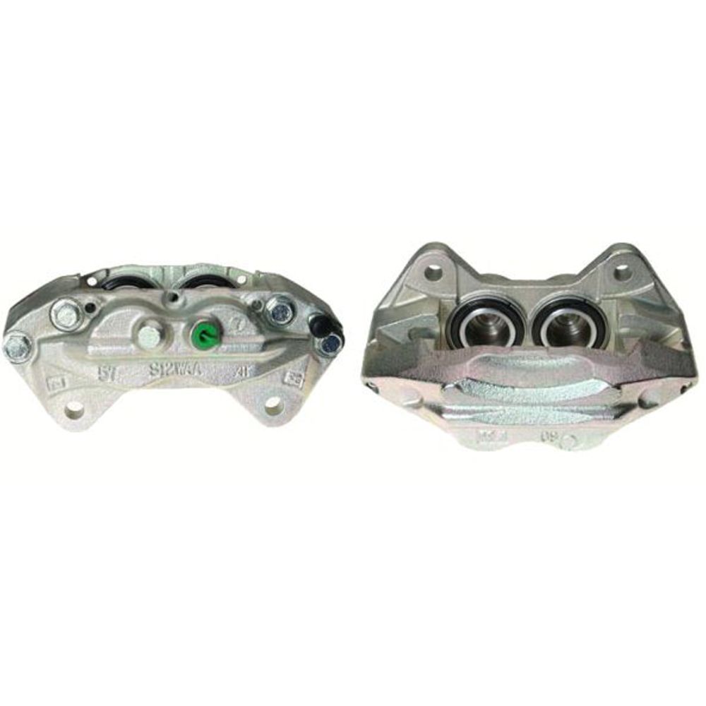 Jarrusatula 23-00079
