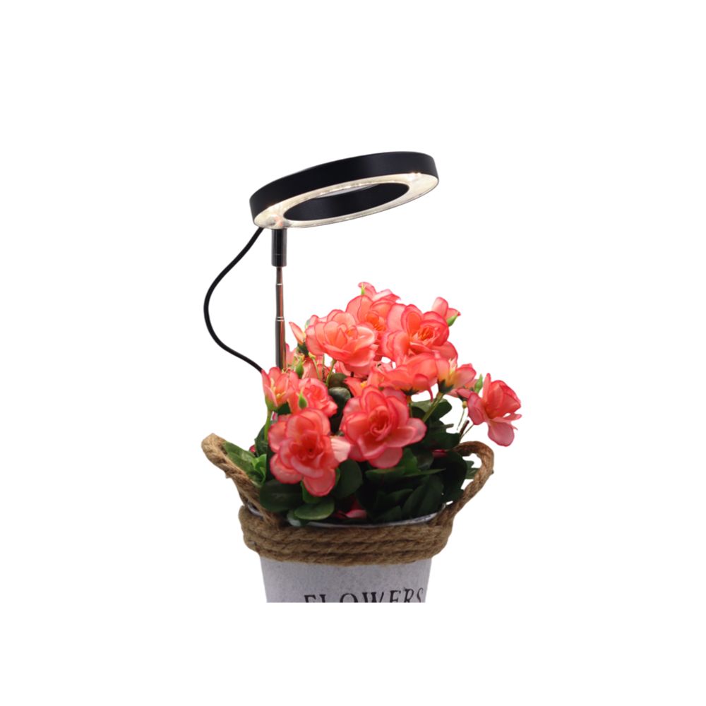 Led Energie Horti kasvivalo 5V 8W 4000K RA95 IP20