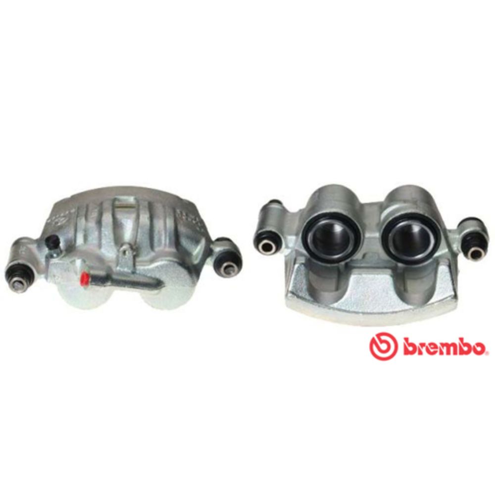 Jarrusatula 23-00973