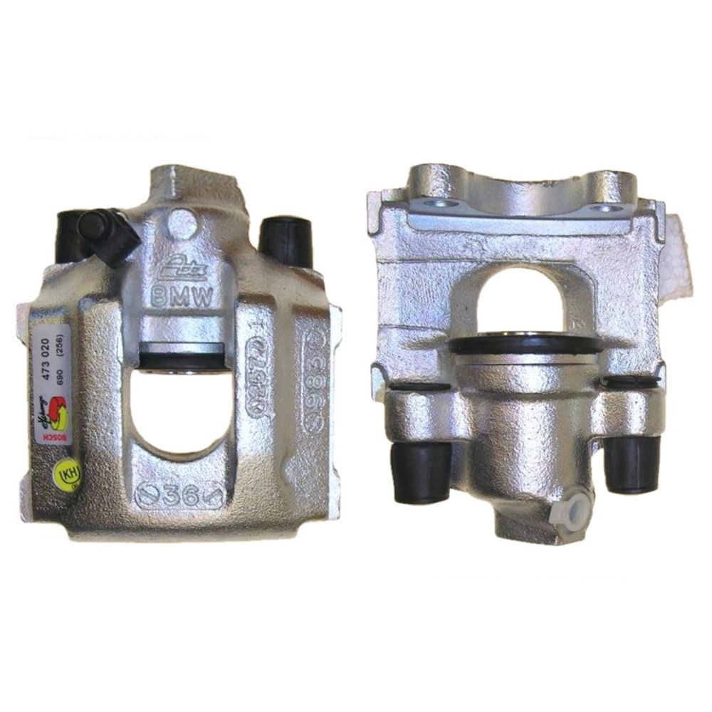 Jarrusatula 23-9751
