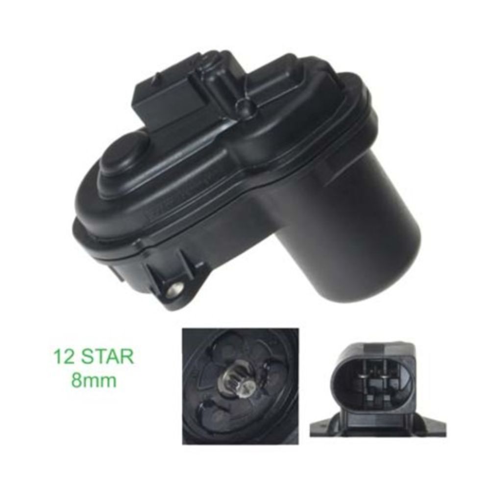 Jarrusatula 23-00924