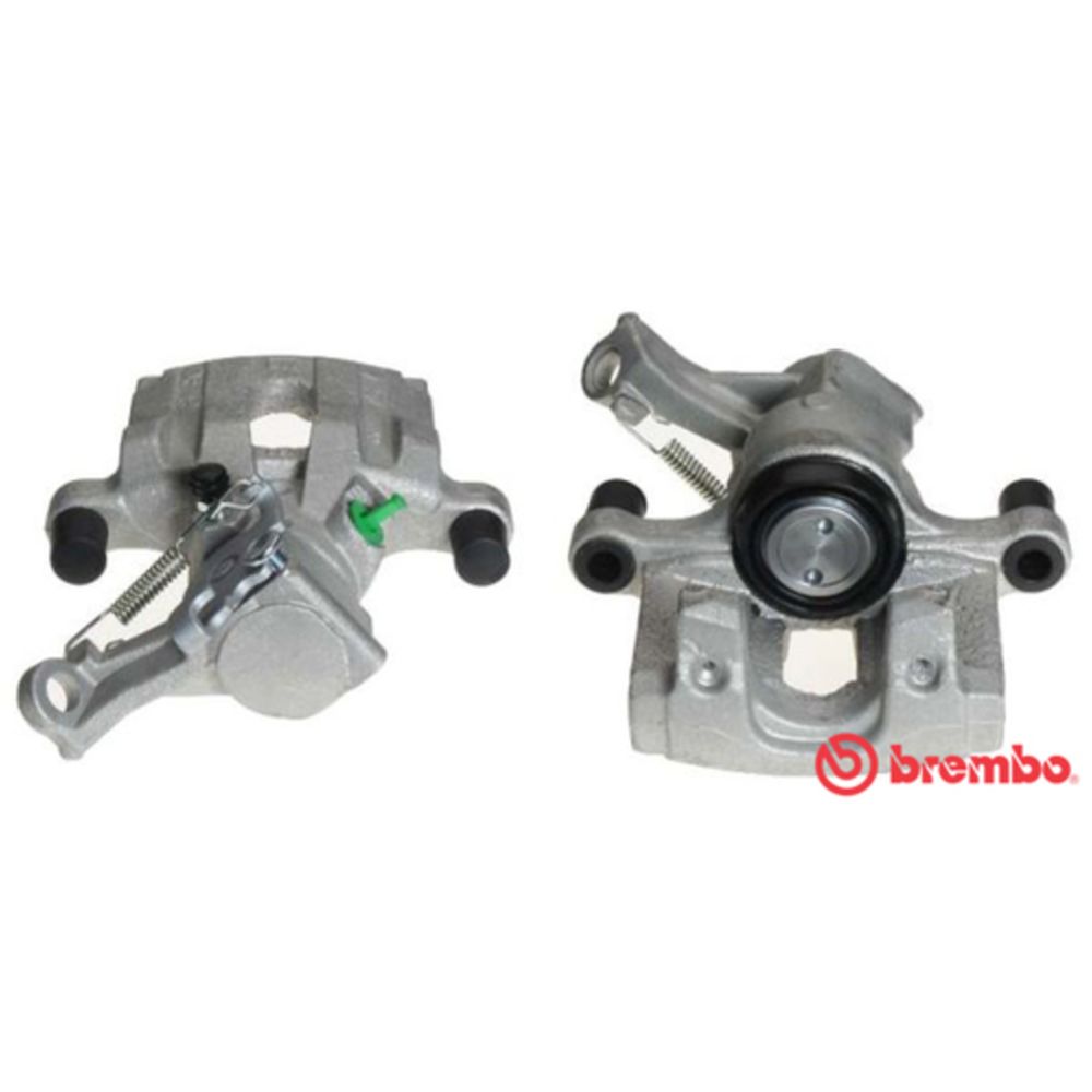 Jarrusatula 23-01021