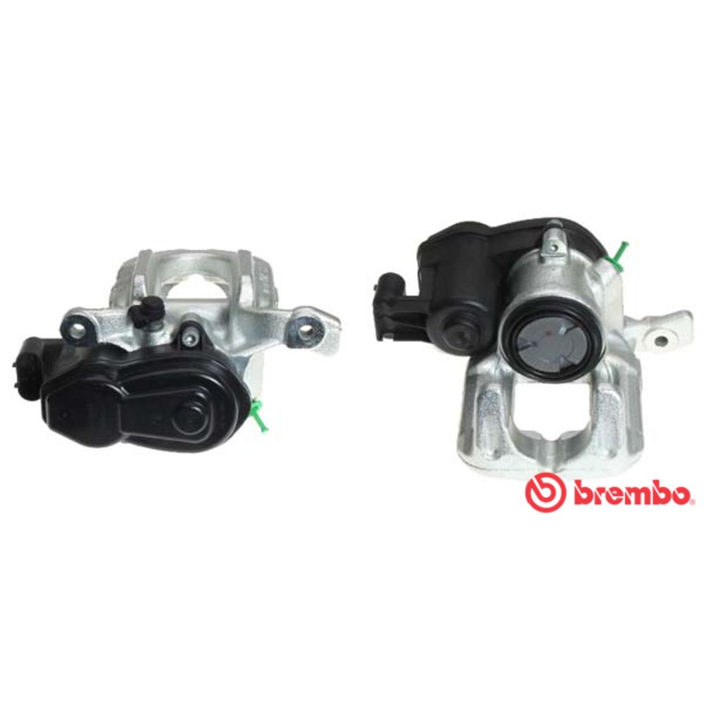 Jarrusatula 23-00929