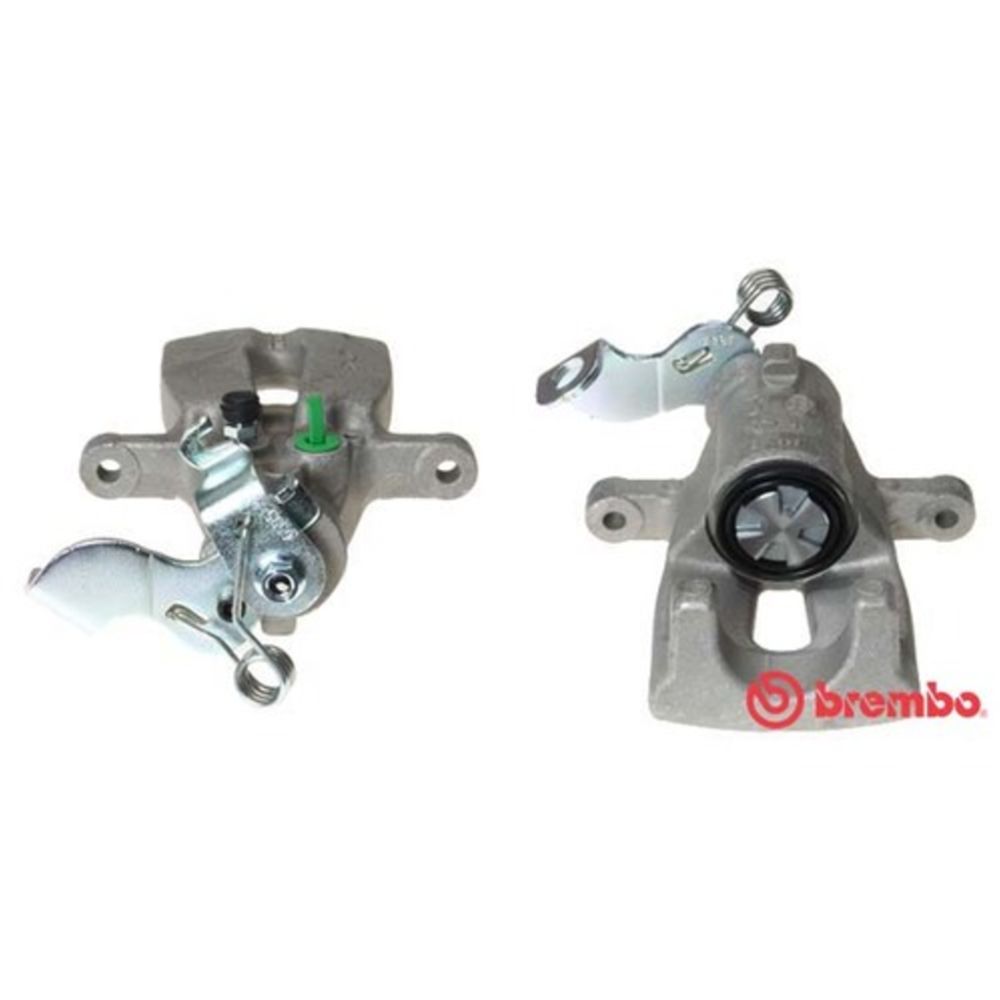 Jarrusatula 23-00997