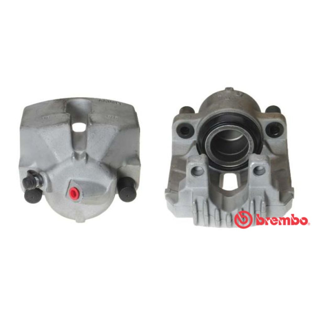 Jarrusatula 23-01025