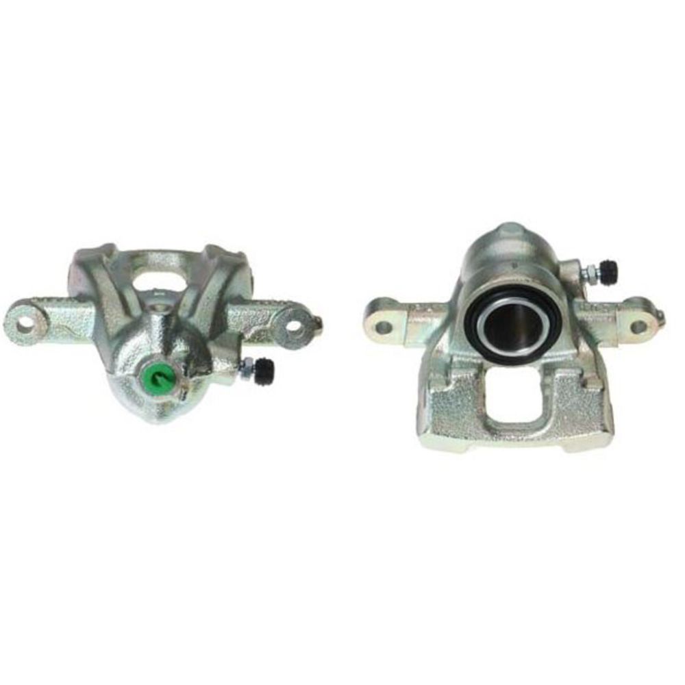 Jarrusatula 23-00229