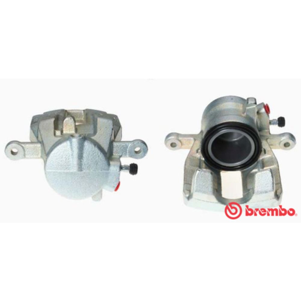 Jarrusatula 23-01269