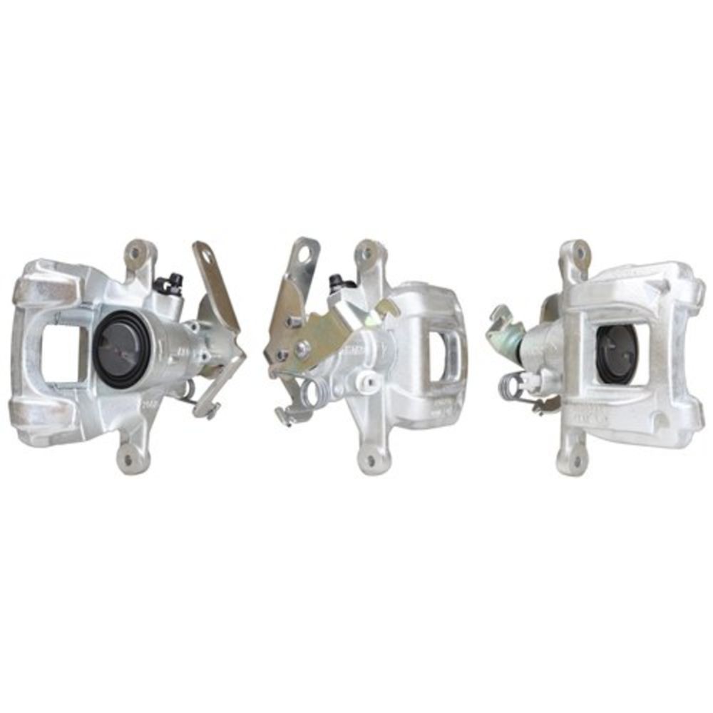 Jarrusatula 23-00854