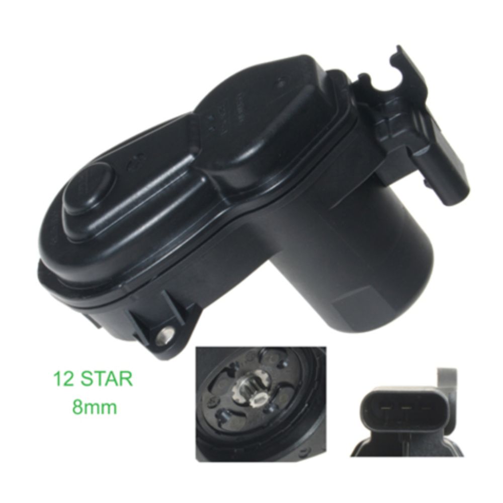 Jarrusatula 23-00949