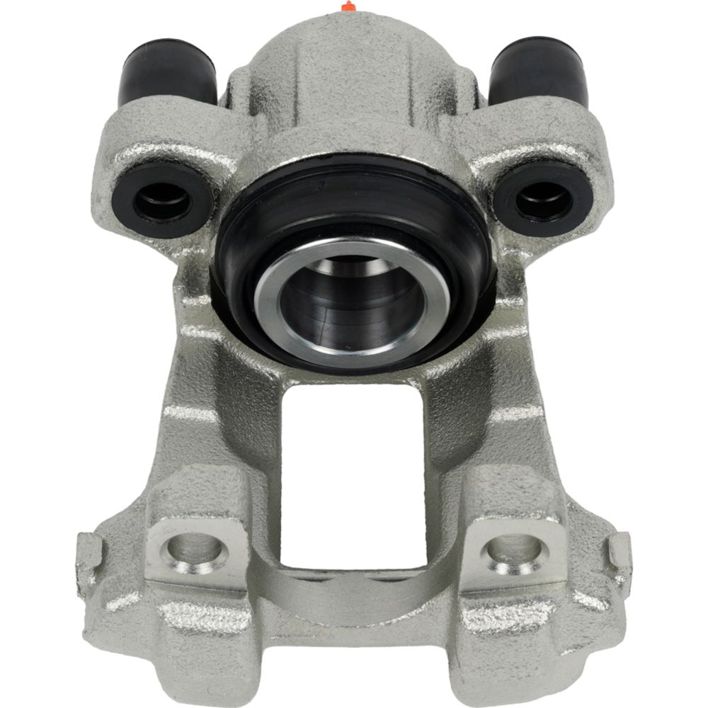 Jarrusatula 23-02681