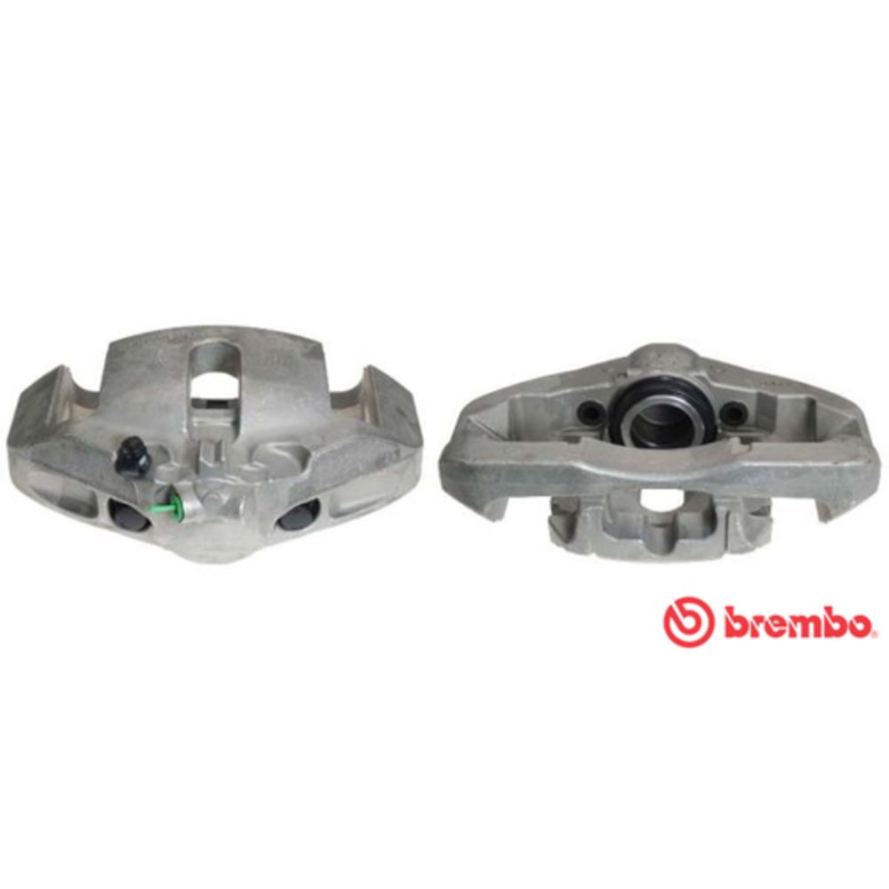 Jarrusatula 23-01051