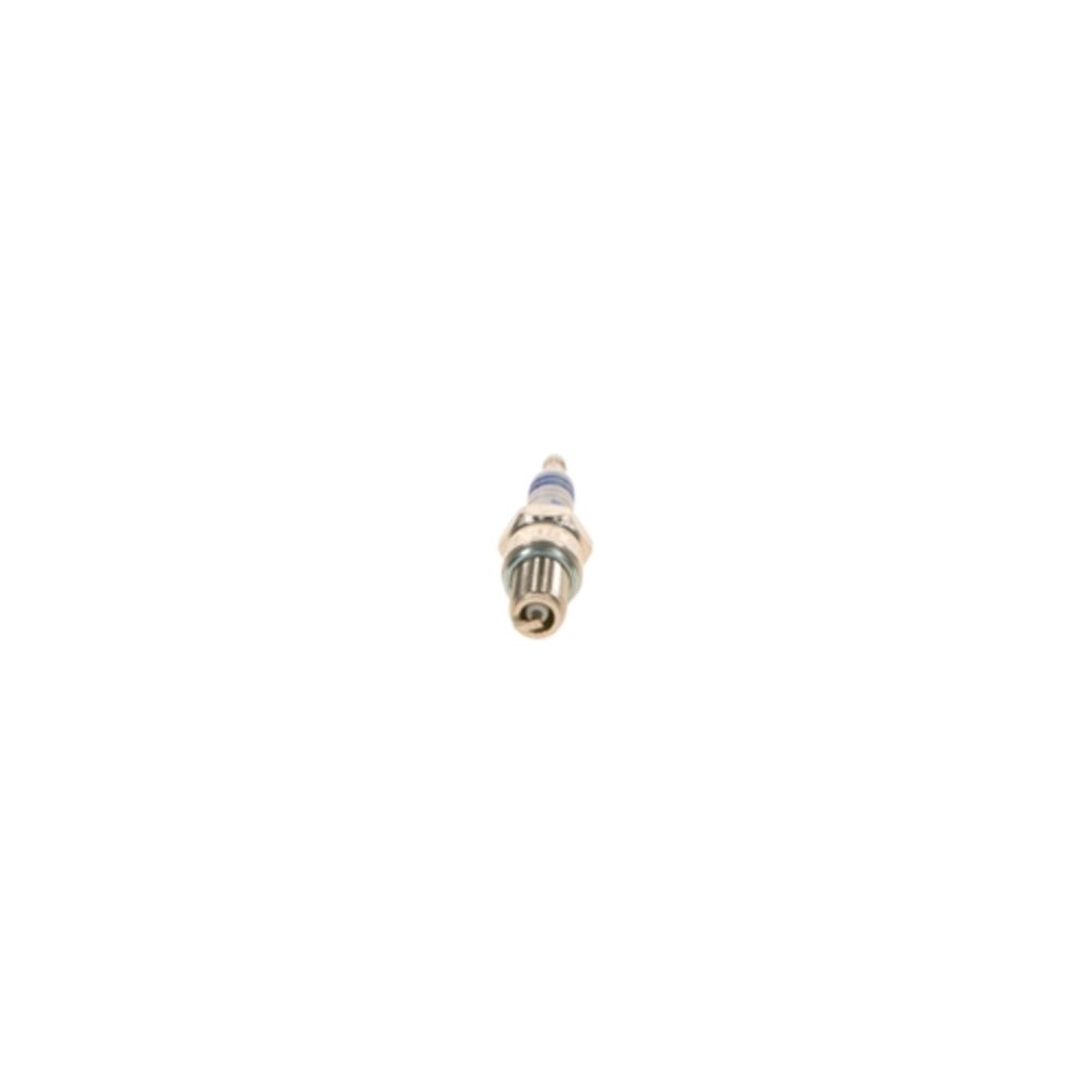 Bosch W8CC süüteküünal