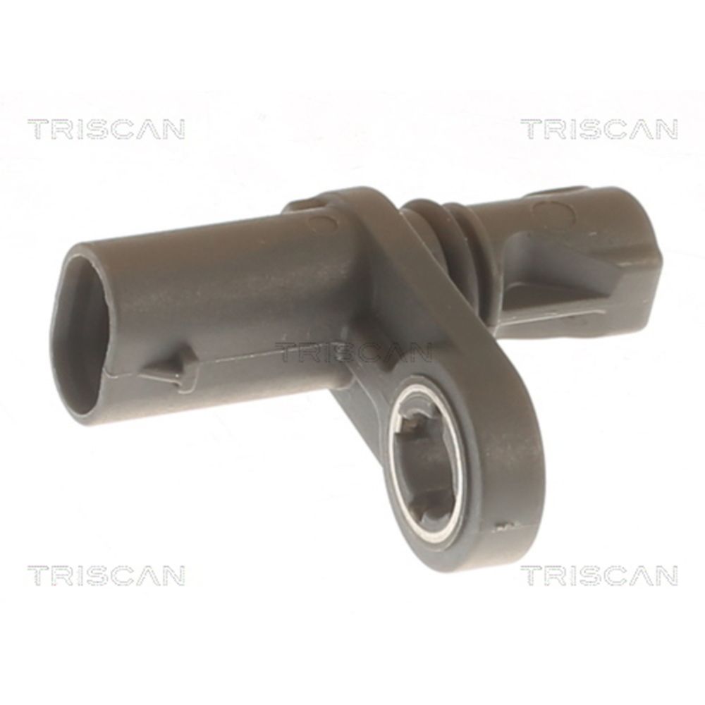 ABS-andur 23-02434