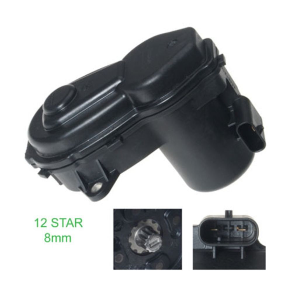 Jarrusatula 23-00900