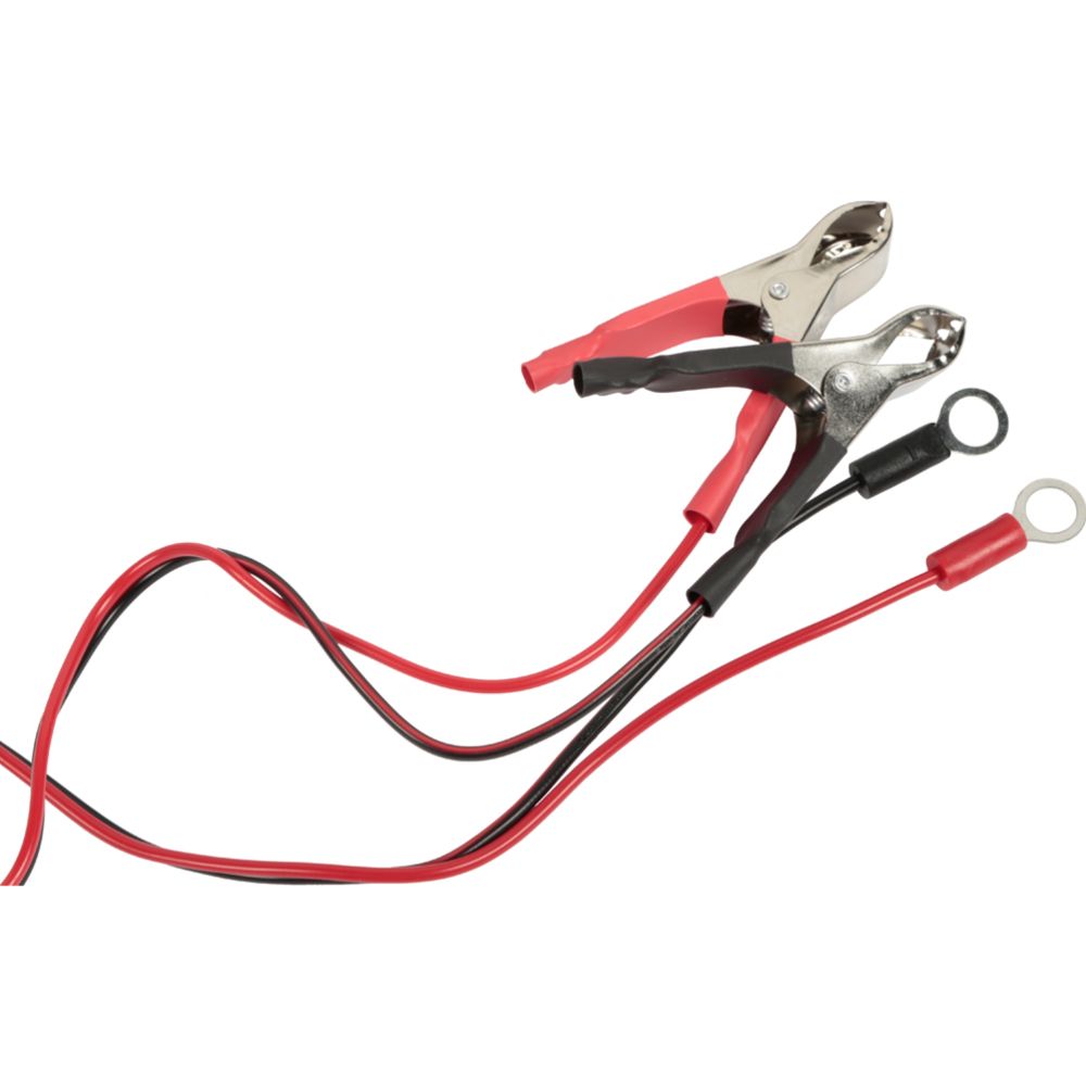 Dunlop underhållsladdare 6V/12V 1.0 A