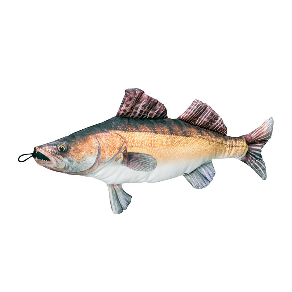 Fladen kalapadi, forell, 65 cm