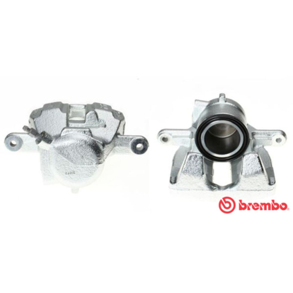 Jarrusatula 23-01575