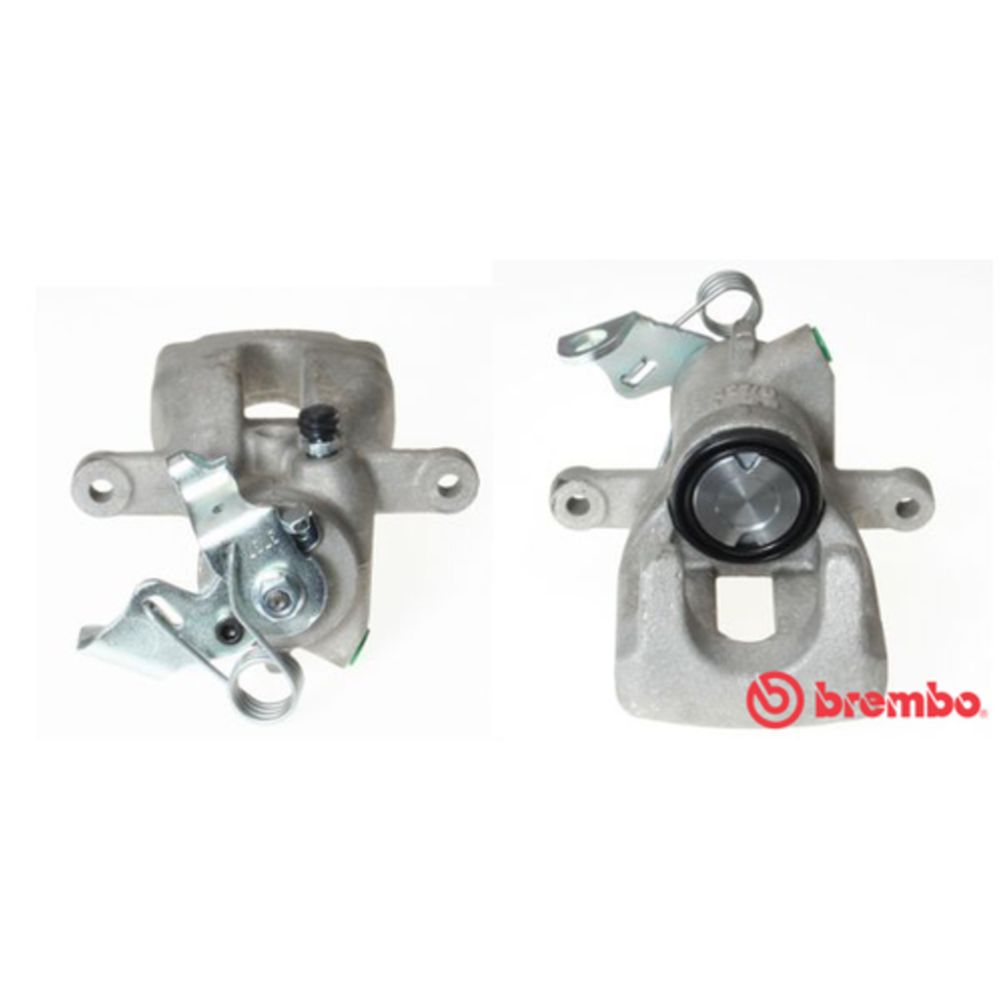 Jarrusatula 23-01266