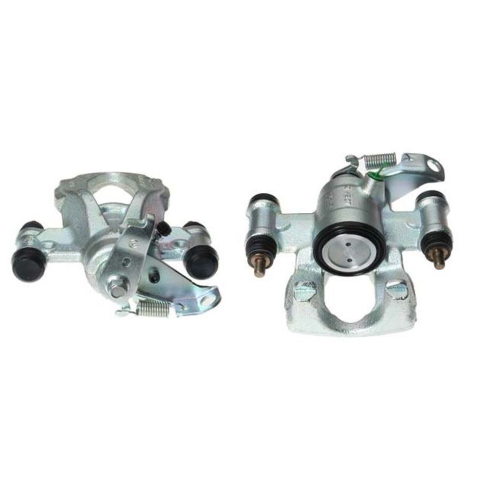 Jarrusatula 23-00400