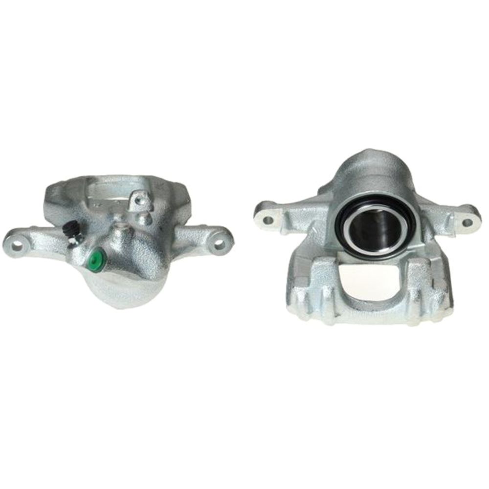 Jarrusatula 23-00219