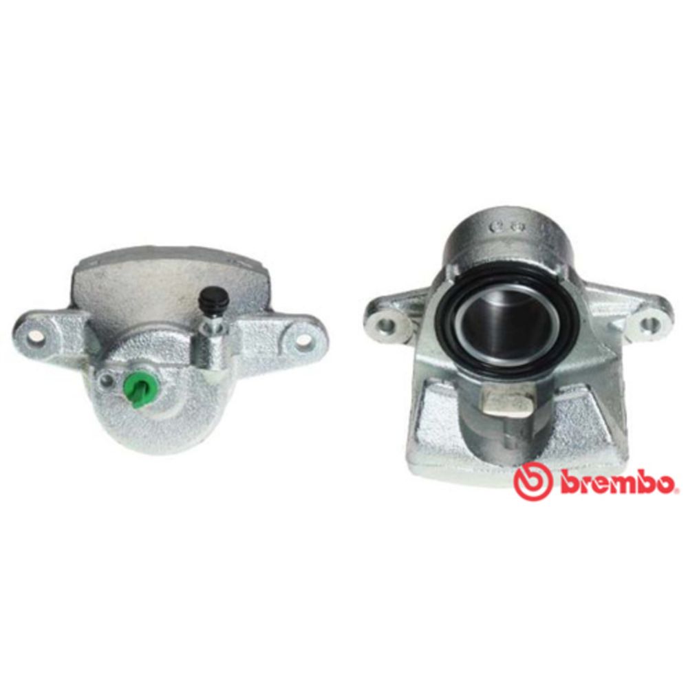 Jarrusatula 23-01339