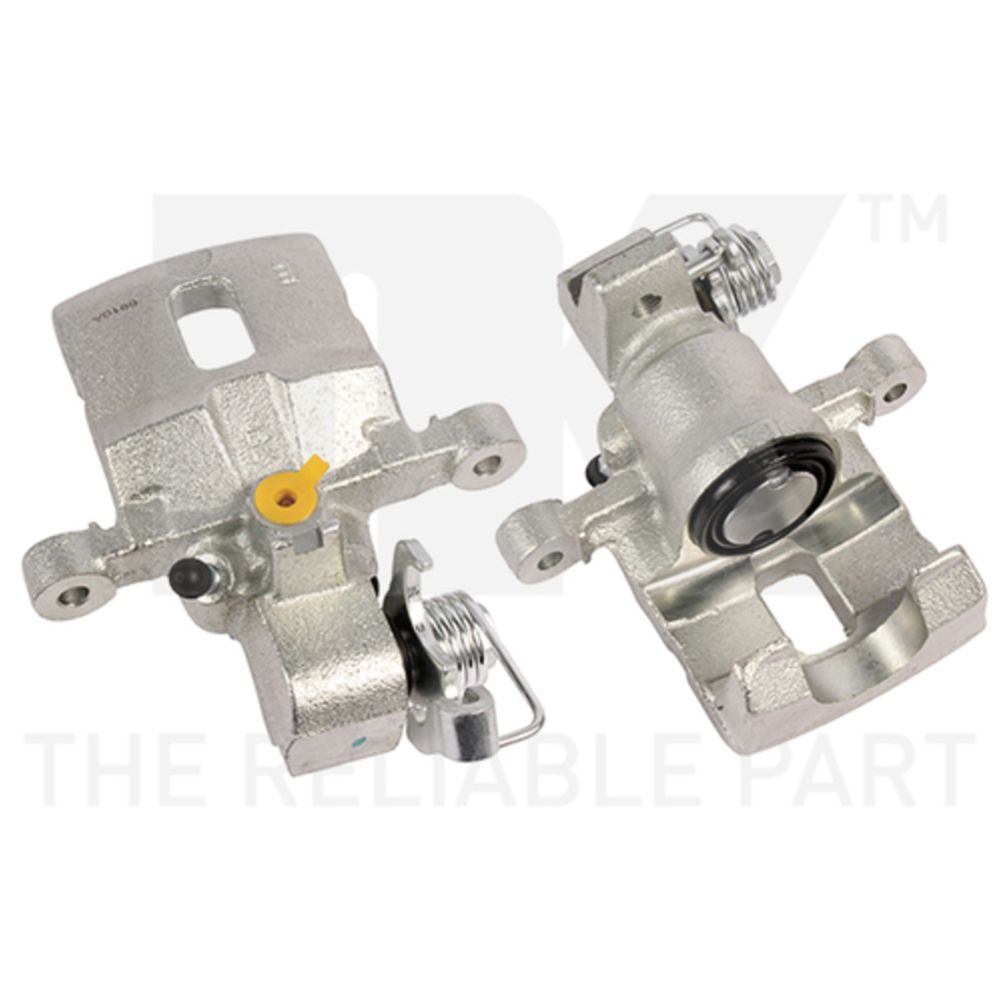 Jarrusatula 23-02291