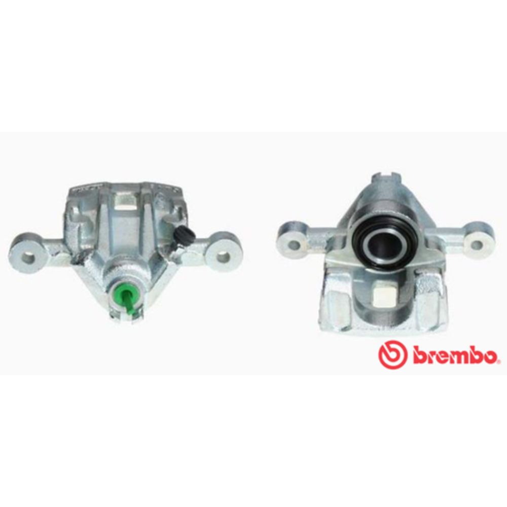 Jarrusatula 23-01470