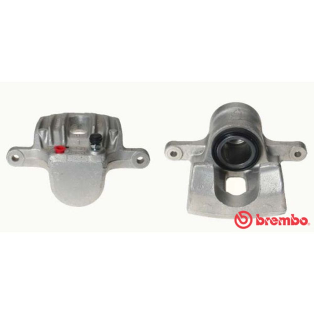 Jarrusatula 23-02606