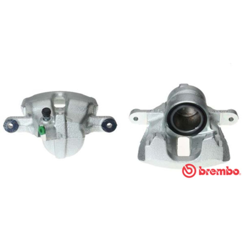 Jarrusatula 23-00974