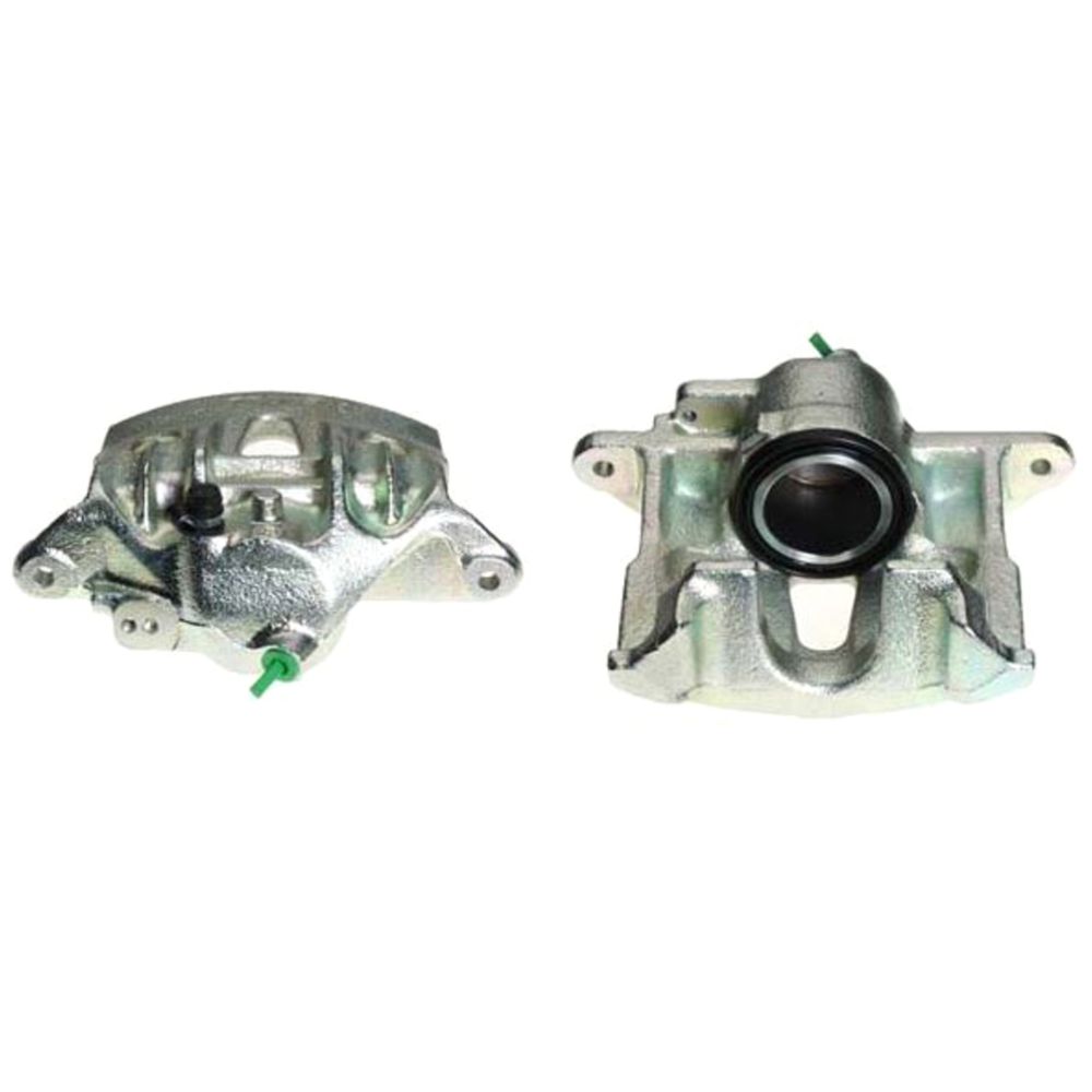 Jarrusatula 23-00141