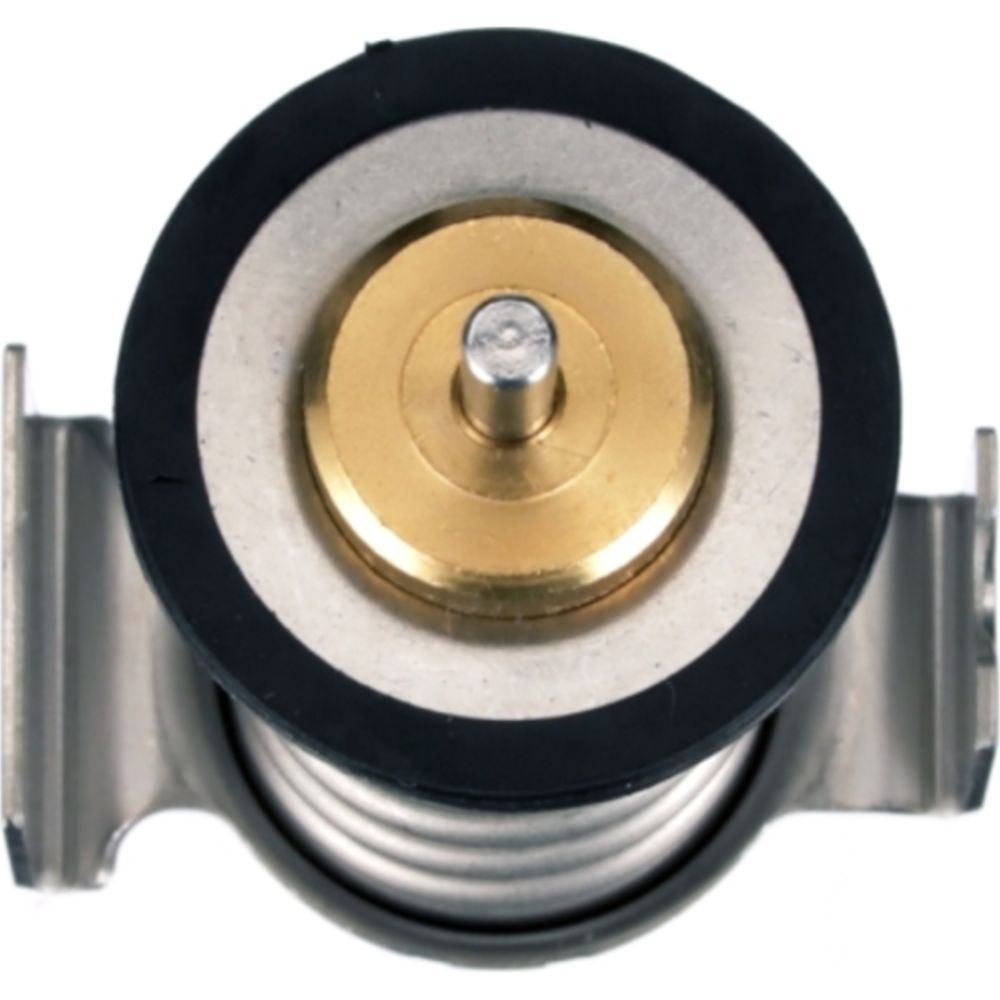 Termostat 30-06607